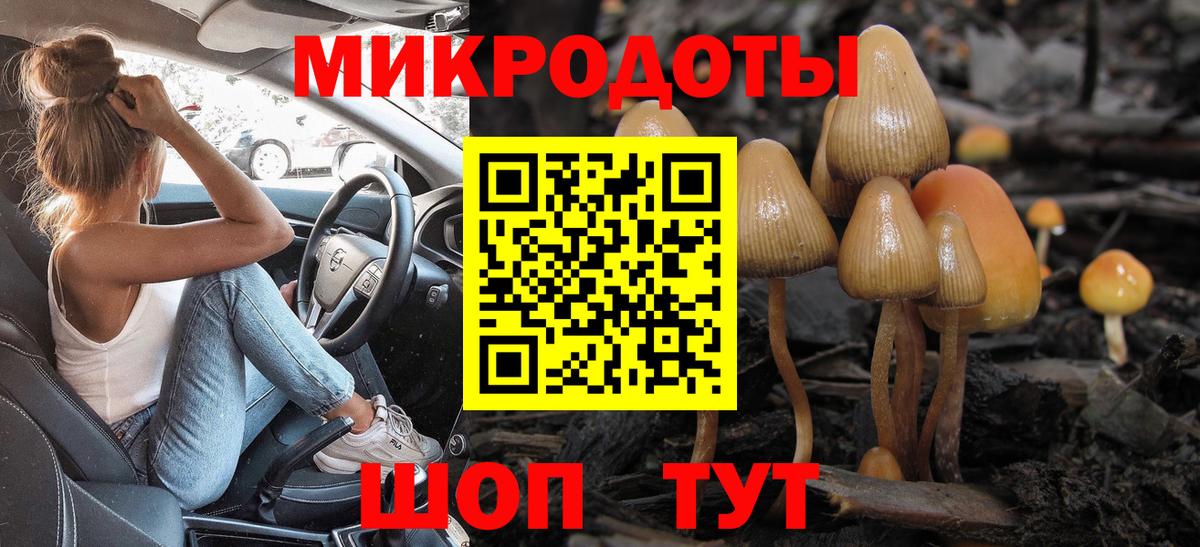 Псилоцибиновые грибы мицелий Старая Купавна