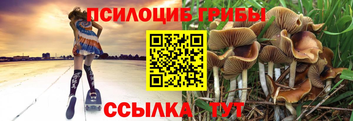 Псилоцибиновые грибы мухоморы  Вход с VPN  Старая Купавна 